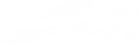 لوگوی شرکت رایان پرتونگار